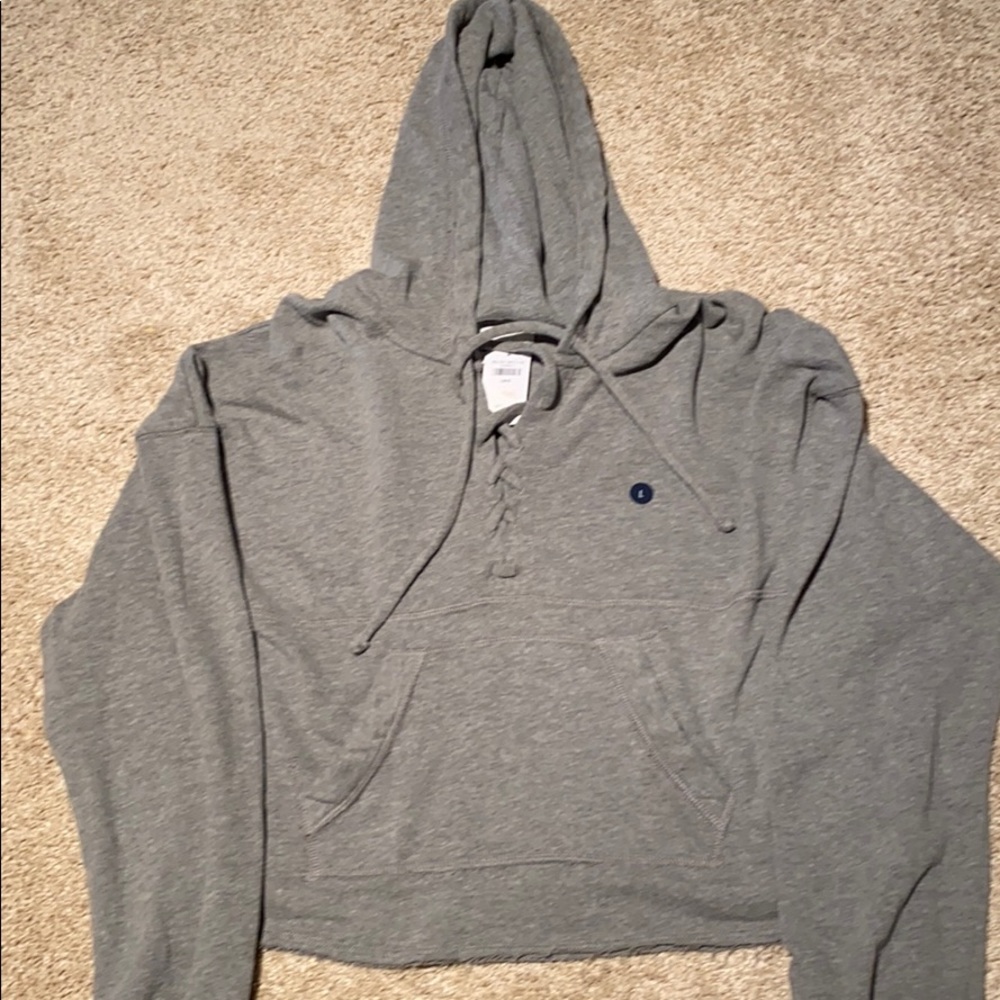 Cropped hollister hoodie